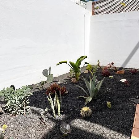 La Pituca Apartmán