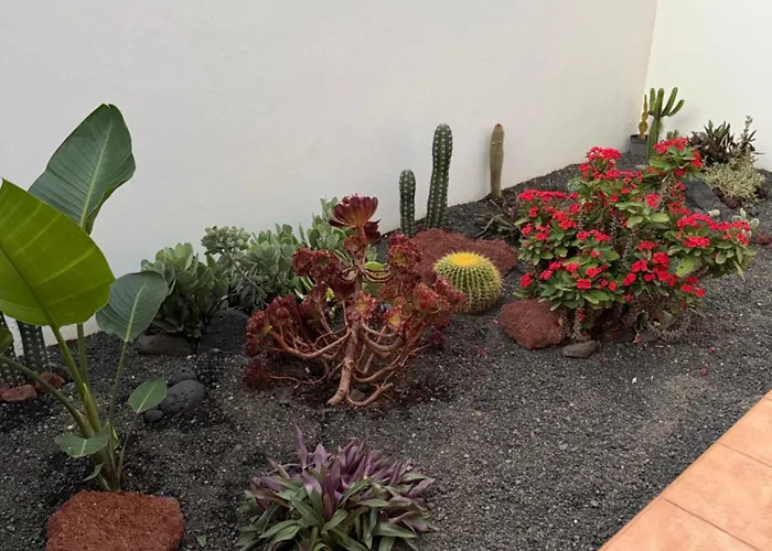 La Pituca Apartmán Playa Blanca (Lanzarote)